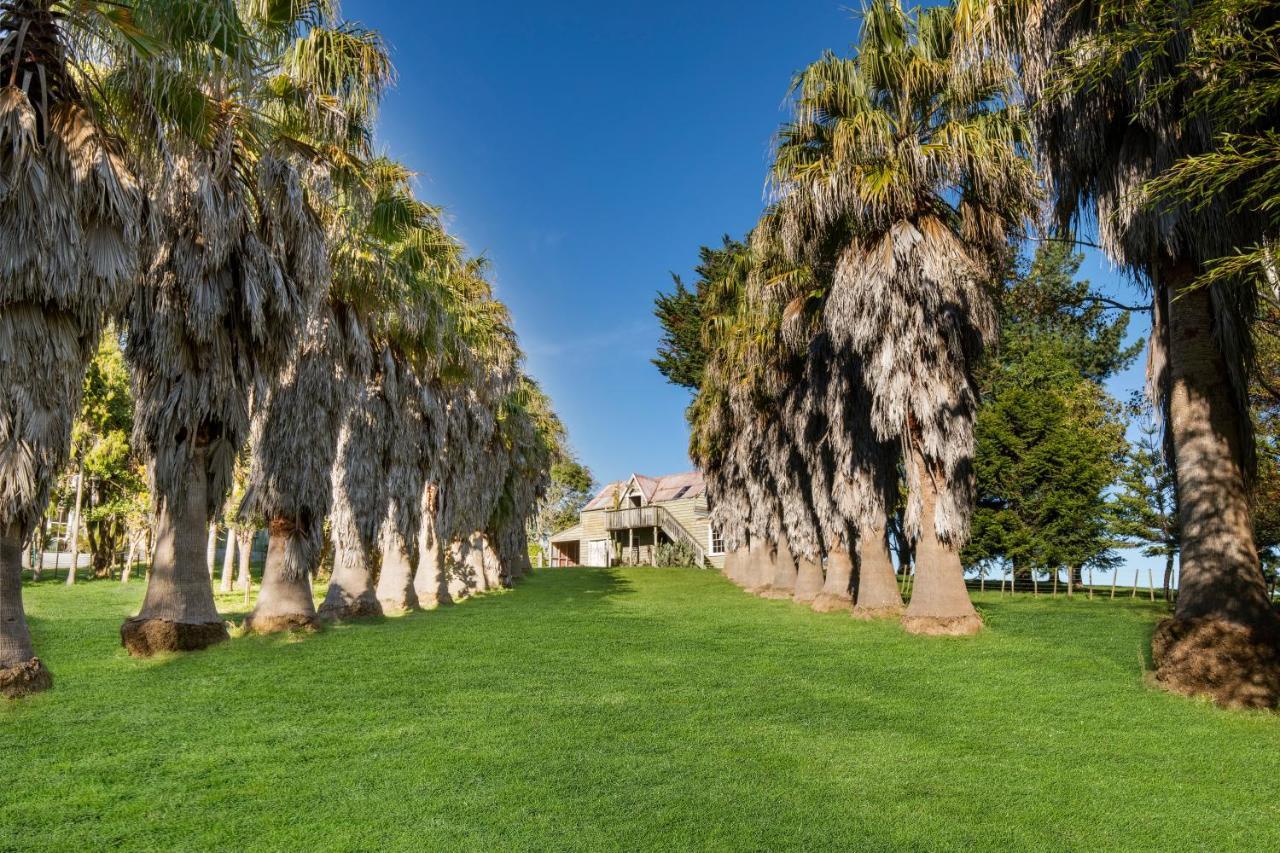 Апартаменты Headlands Estate Уонгануи Экстерьер фото